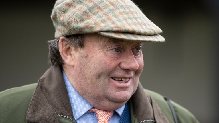 Nicky Henderson: "We wanted to be at Sandown, but it's not the right thing to do"