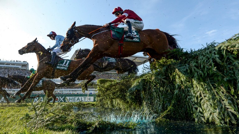 Tiger Roll: will be running for the first time since his second Grand National