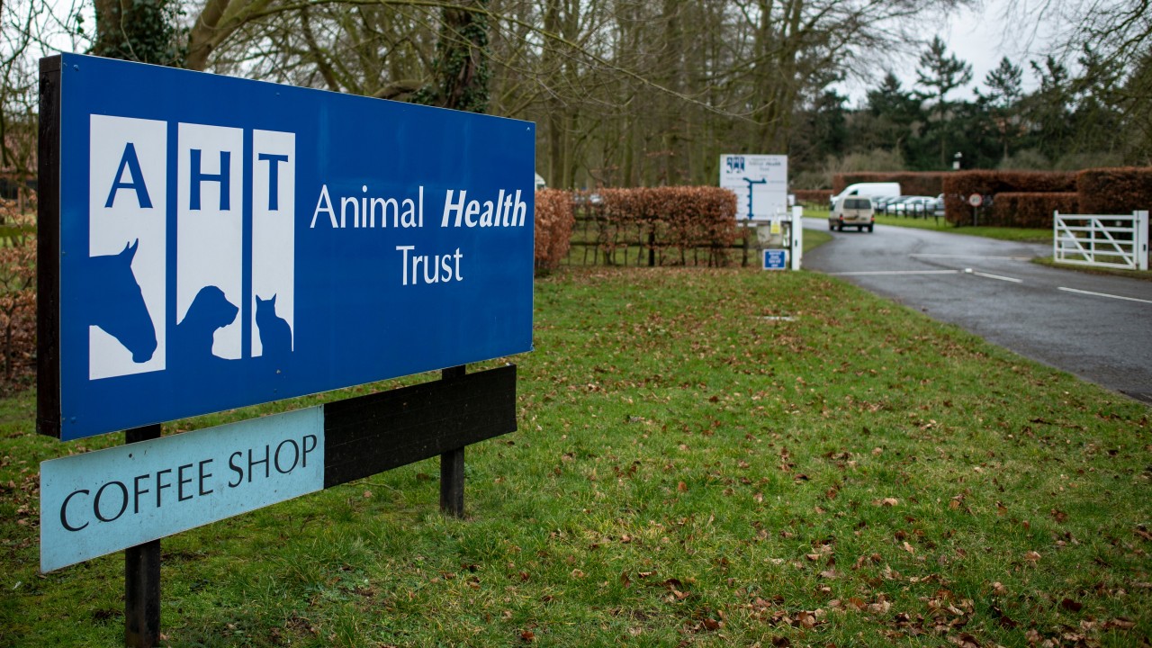 Animal Health Trust seeking urgent funds to prevent 'imminent closure