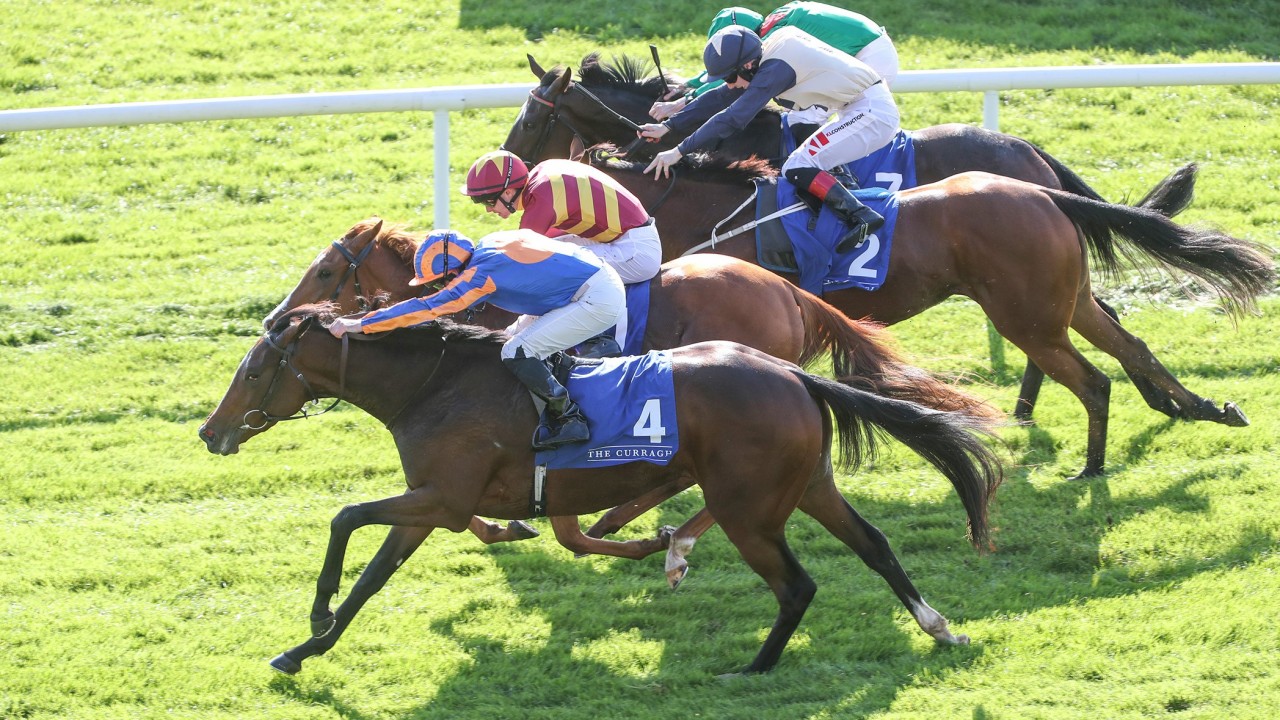 Up and running: Donnacha O'Brien gets off the mark as a trainer at ...