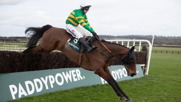 any second now horse grand national odds