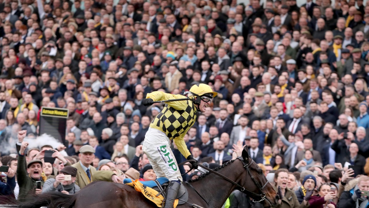 New to Racing Post? Start here and discover musthave information for