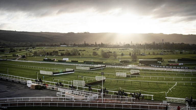 The sun rises over Cheltenham as Gordon Elliott's string strolls to the gallops