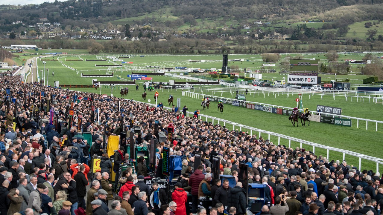 What Will Be The Key Differences To This Year S Cheltenham Festival Horse Racing News Racing Post