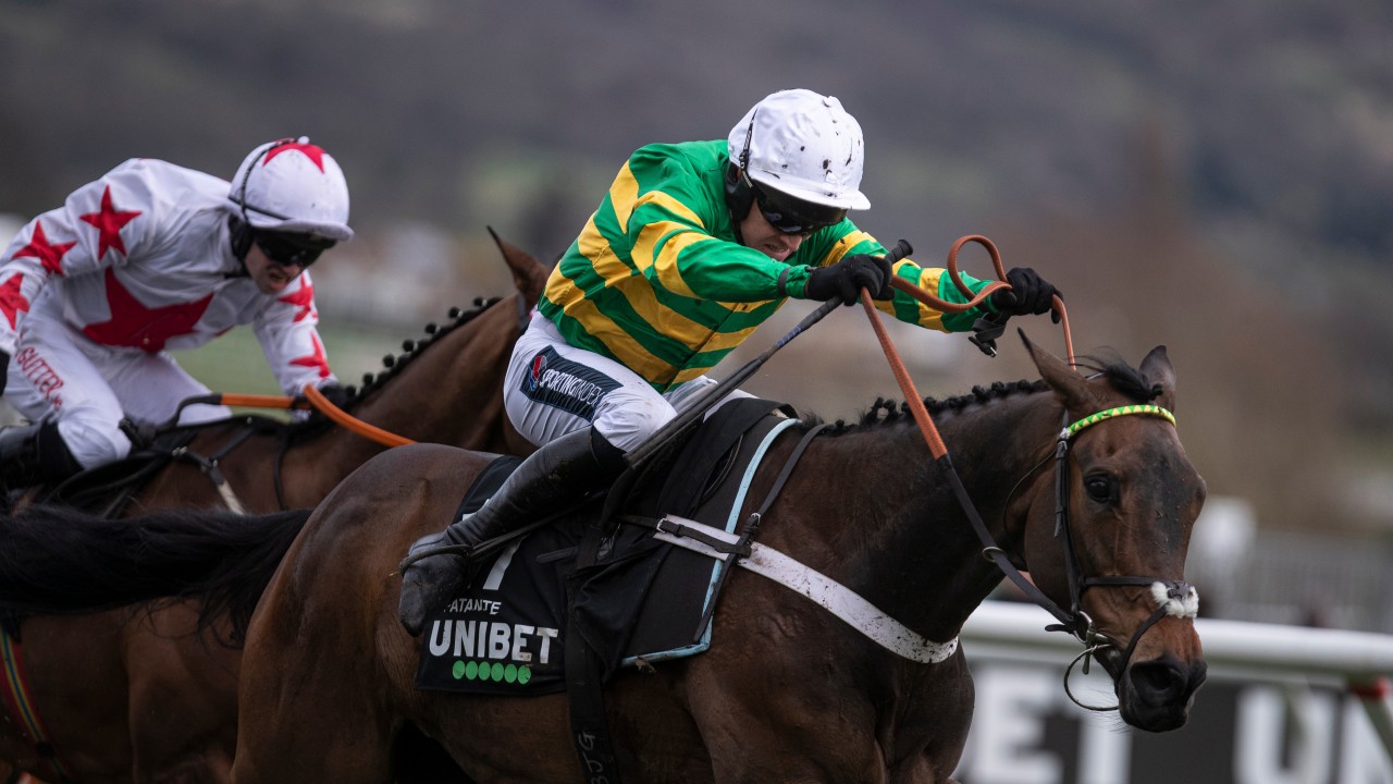 Ladies first at Cheltenham as Epatante beats the males in the Hurdle | Bloodstock News | Racing Post
