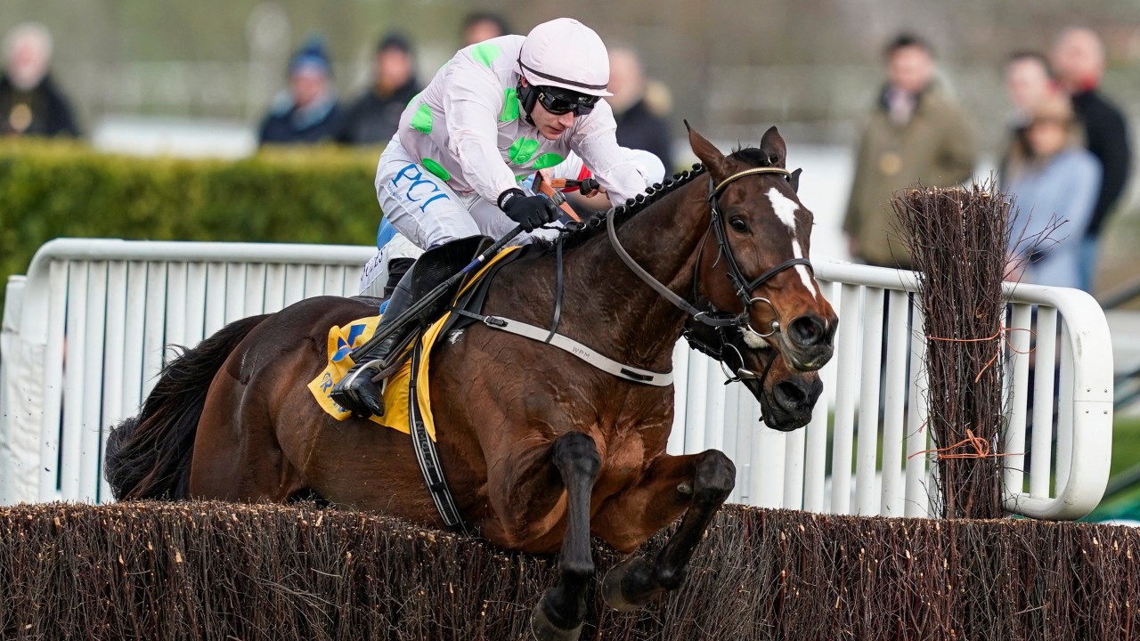 Rich Ricci surprised but delighted the Cheltenham Festival went ahead