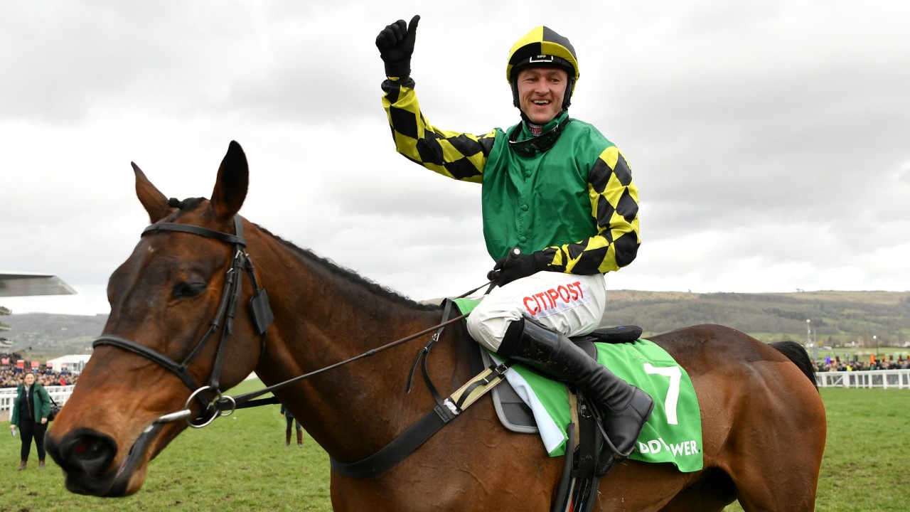 'He gave us the most amazing day' Stayers' Hurdle hero Lisnagar Oscar