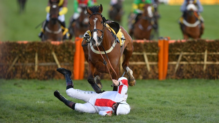 The rider hits the floor, with onlookers stunned after Goshen's agonising unseat