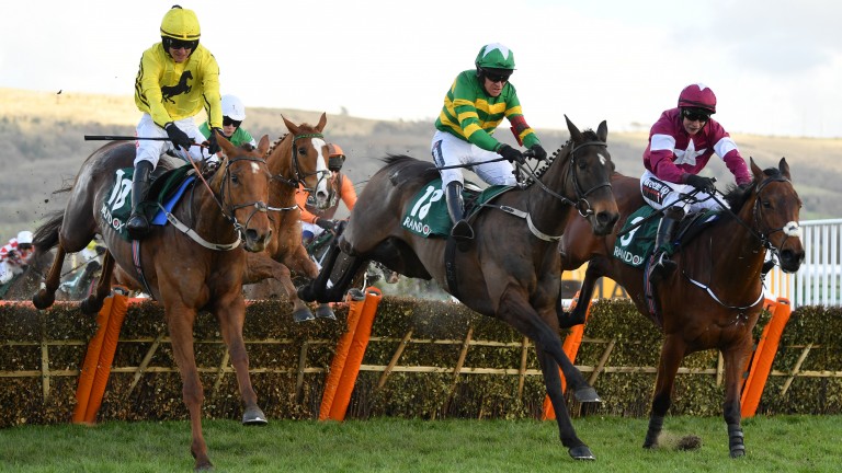 Saint Roi (centre) clears the last in the County Hurdle before storming clear up the run-in