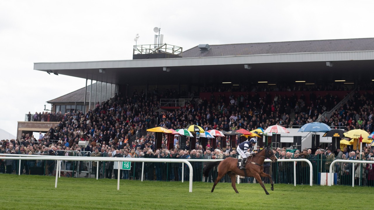 'Back with a bang' Punchestown could set new record for biggest festival crowd Horse Racing