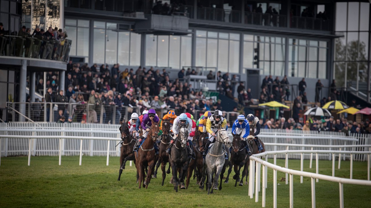 Key Stats For The Opening Day Of The Irish Flat Season At Naas Horse Racing News Racing Post
