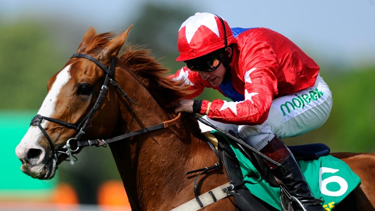 Sire De Grugy: his four Grade 1 wins in 2013-14 are a personal highlight for Gary Moore