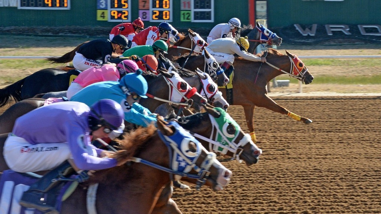 Early pace is vital when digging out winners to hit paydirt at Will