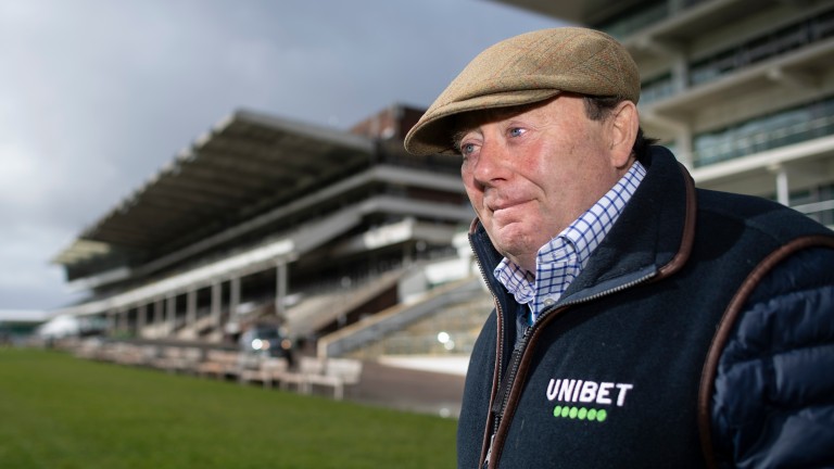 nicky henderson cheltenham