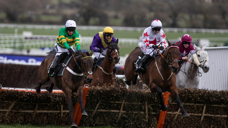 Darver Star (white with red stars): finished an excellent third to Epatante in last year's Unibet Champion Hurdle