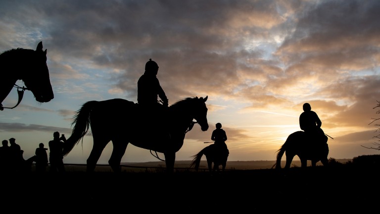 "We're an industry that directly employs 17,500 people" – BHA chief executive Nick Rust