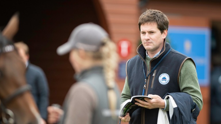 Sam Hoskins: plenty to look forward to with Kennet Valley Thoroughbreds and personally in 2022