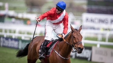 Envoi Allen: made it eight from eight under rules in the Ballymore Novices' Hurdle