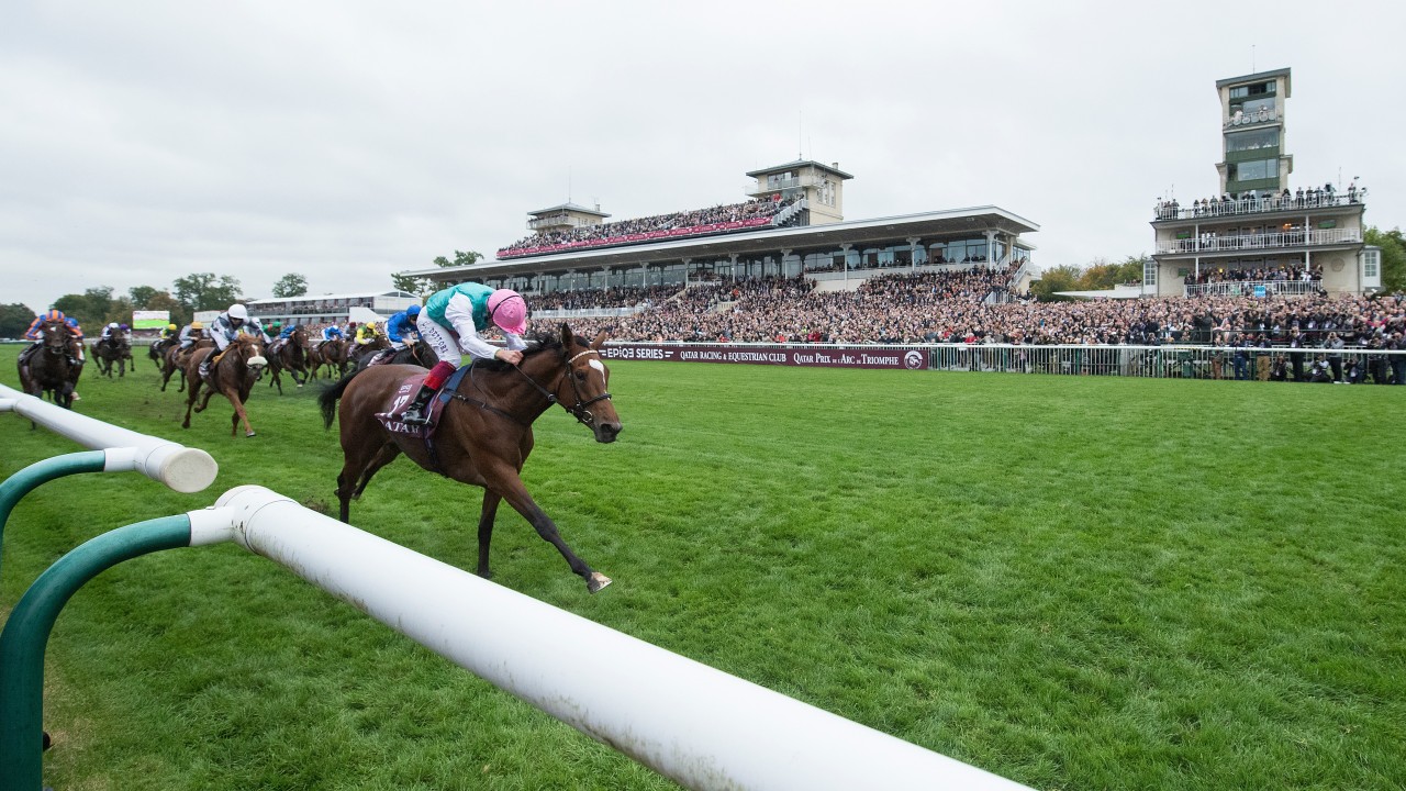 longchamp arc