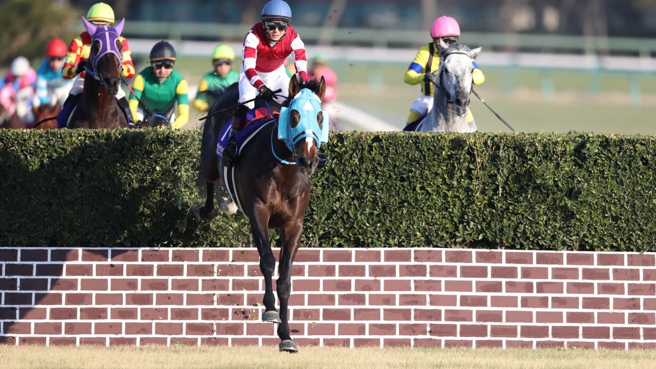 Nakayama grand jump betting tips 127 hours between a rock and a hard place chapter summary
