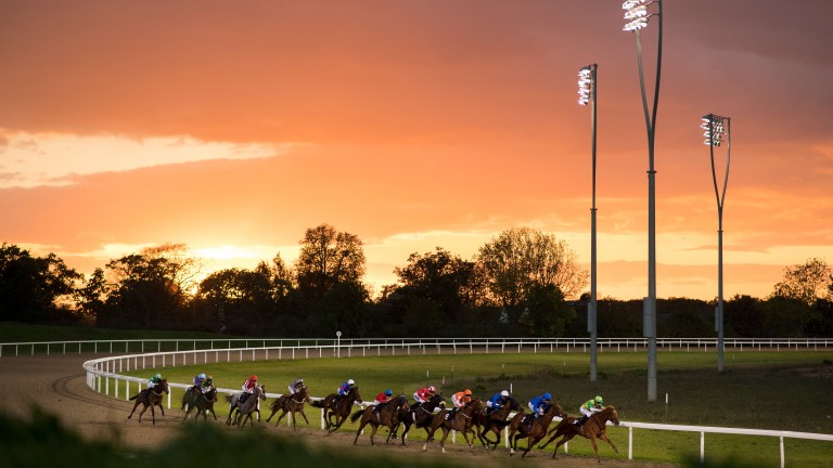 Chelmsford: racegoers will be required to show Covid passes from Thursday