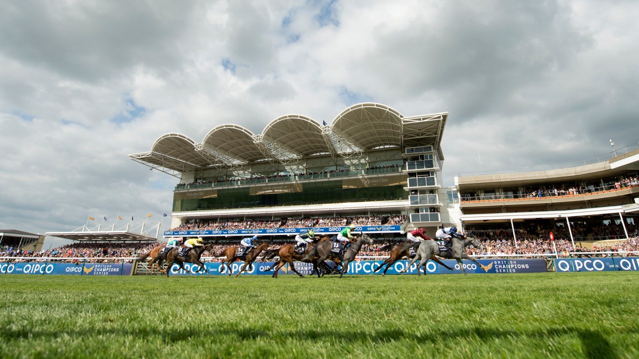 Racing set to resume on June 1 with allweather fixture at Newcastle