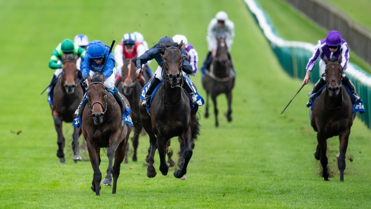 Ante Post Four Things To Note When Looking For Value In The Guineas Markets Horse Racing News Racing Post