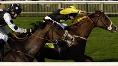 Sergeant Cecil(Alan Munro)wins the3:45 totesport Cesarewitch (Heritage Handicap) (2) from King Revo(Philip Robinson)October 20052000smirrorpix