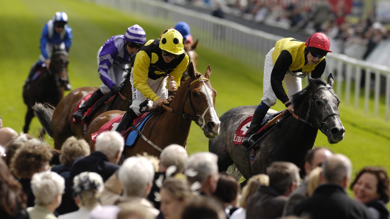 Sergeant Cecil It Was A Privilege To Train A Horse Like Him He Was Special Horse Racing News Racing Post