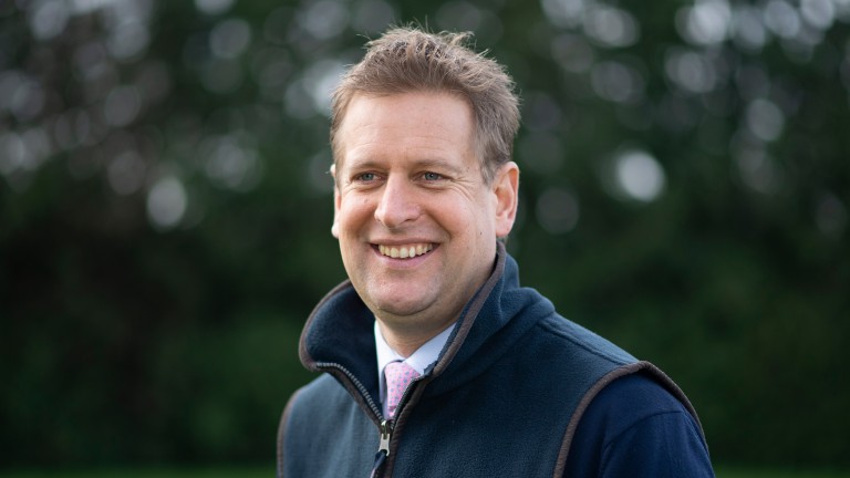 Ed Chamberlin selects a horse who shone at Chelmsford this week to join his Ten To Follow squad