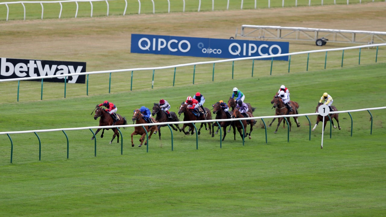 Friday on ITV4 an armchair guide to the seven races at Newmarket and