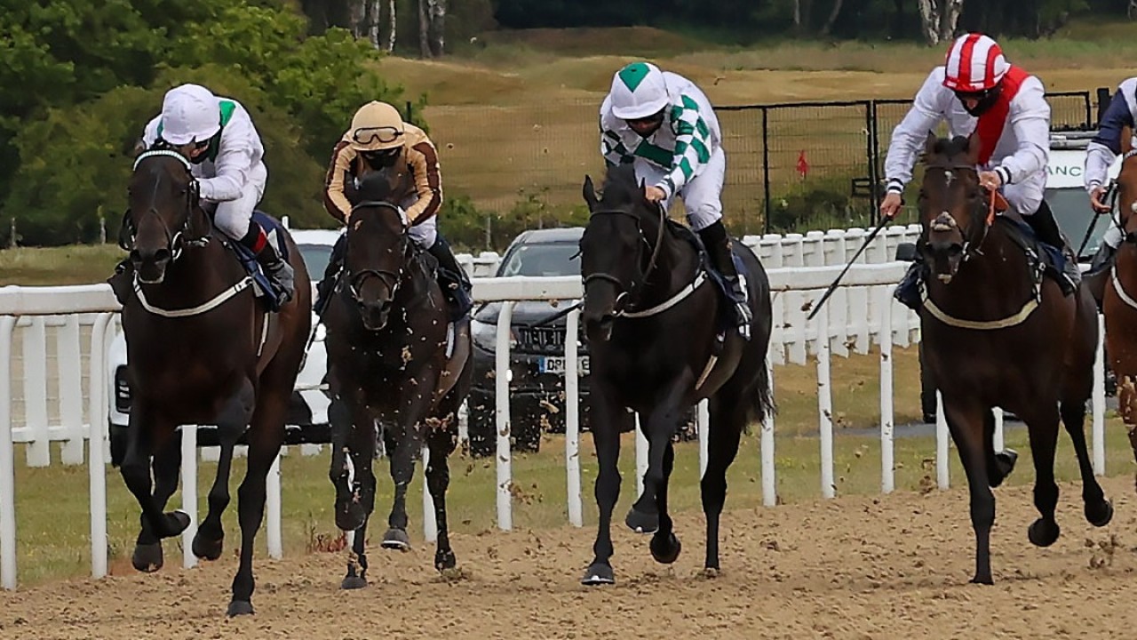 All Weather Championships Finals Day To Move To Newcastle From 2022 Horse Racing News Racing Post