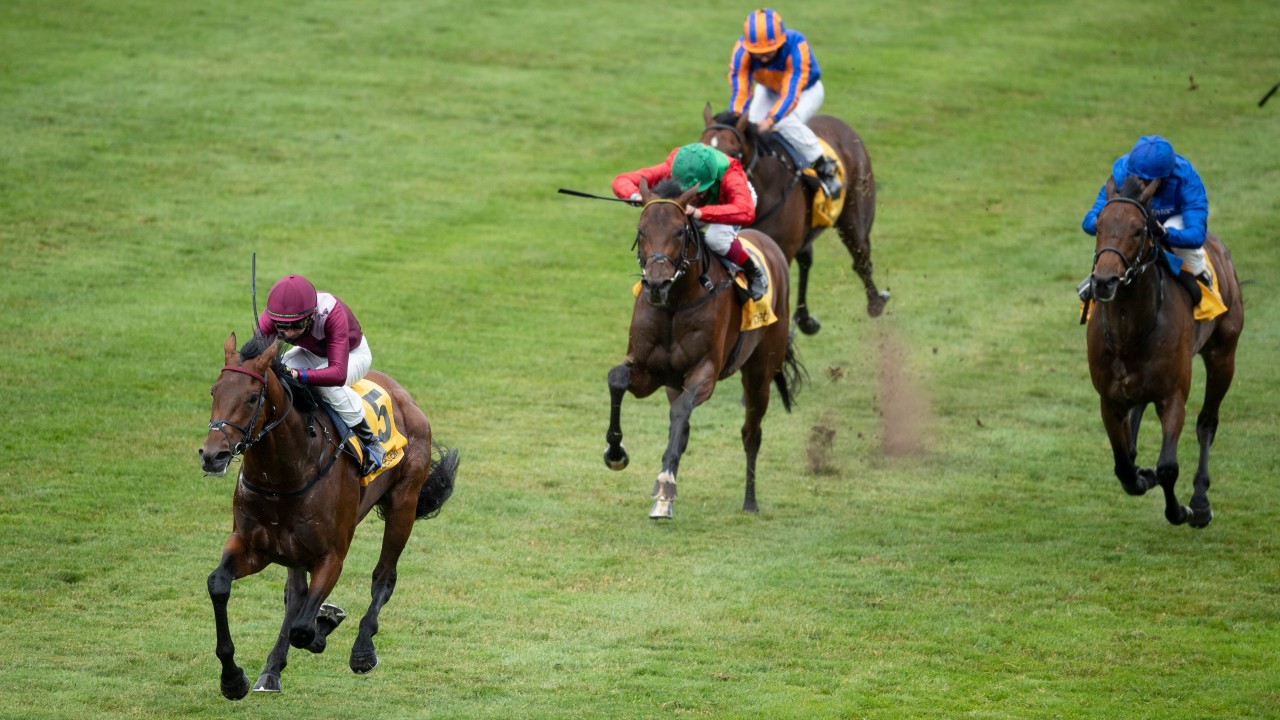 Derby hope Waldkonig to miss Epsom after defeat to stablemate ...