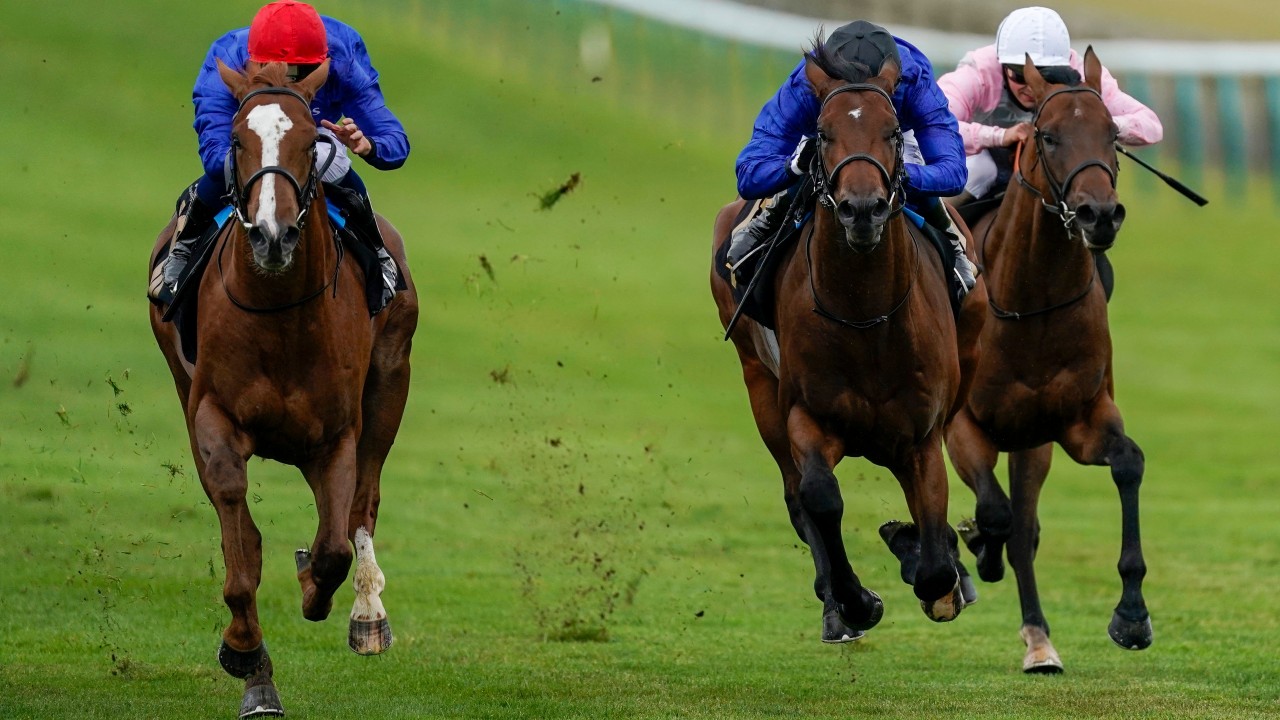 horse racing handicapping apps horse racing handicapping apps