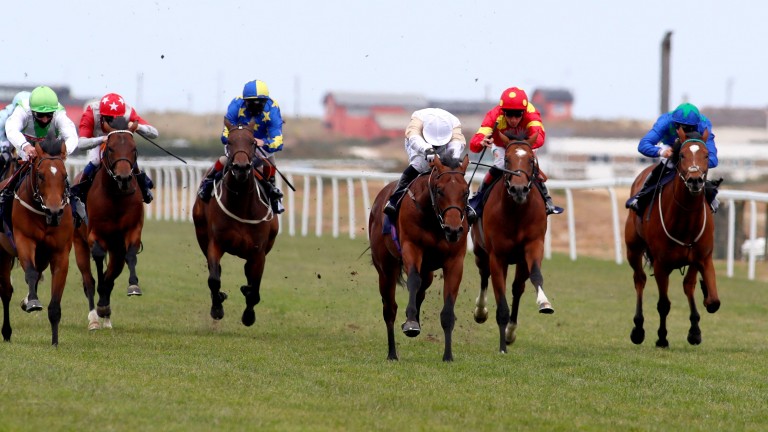 The Lir Jet (white cap) makes a winning debut at Yarmouth