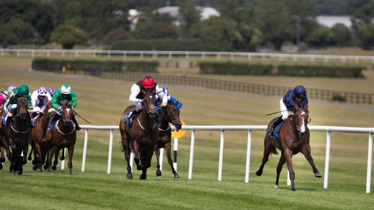 More Beautiful (right) strides clear in the opening race at Naas