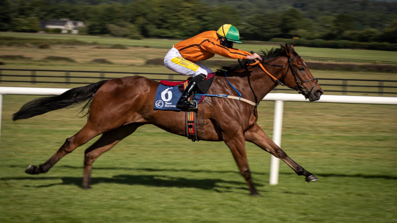 Star sprinter Sceptical diverted to Diamond Jubilee and made new ...