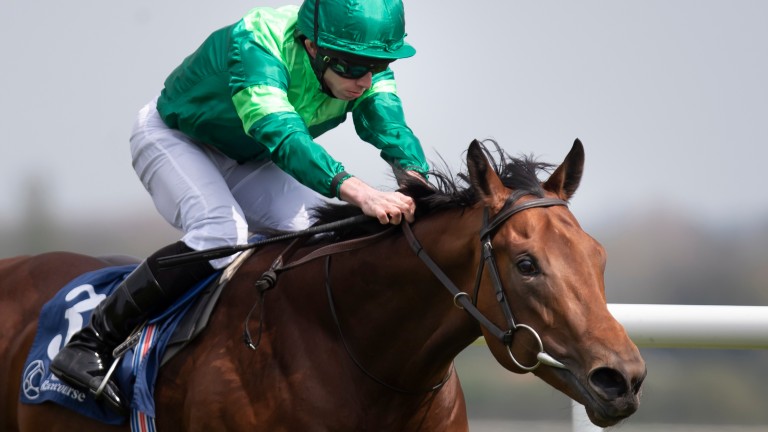 Monarch Of Egypt: out to supply American Pharoah with a first Group 1 winner