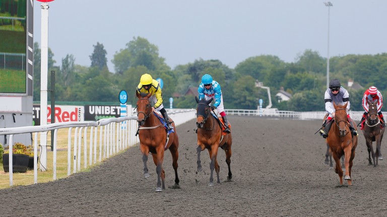 Live Stream (yellow) records a taking debut success at Kempton