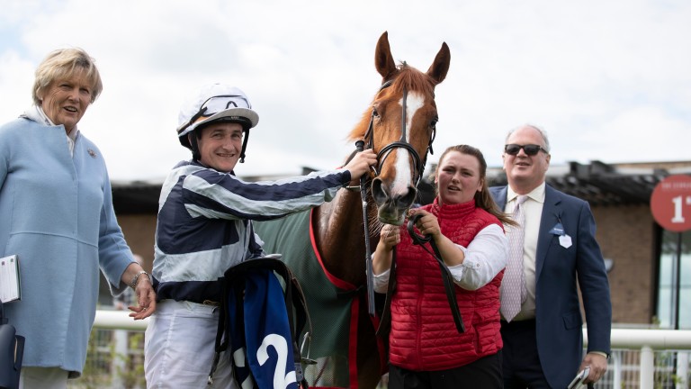 Albigna: bidding to give the Niarchos family a second Irish 1,000 Guineas winner in three years