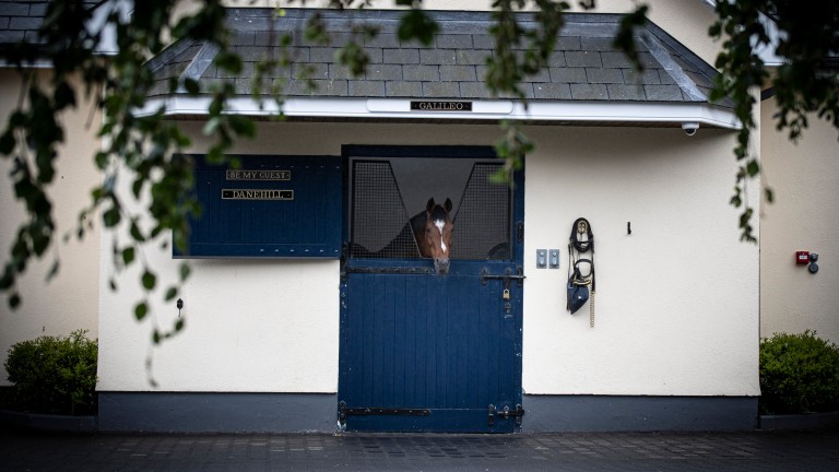 Galileo: sire of five winners of the Irish 1,000 Guineas