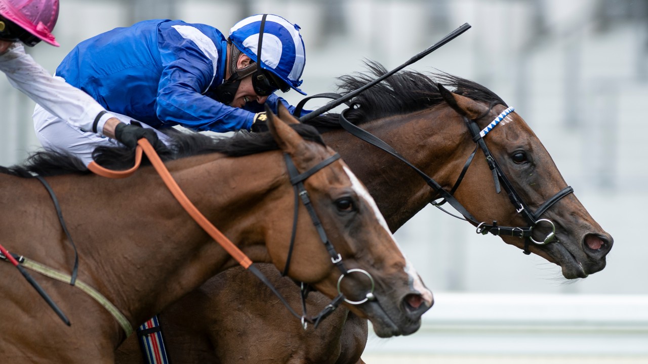 Nazeef just holds on to land the Duke of Cambridge Stakes for inform