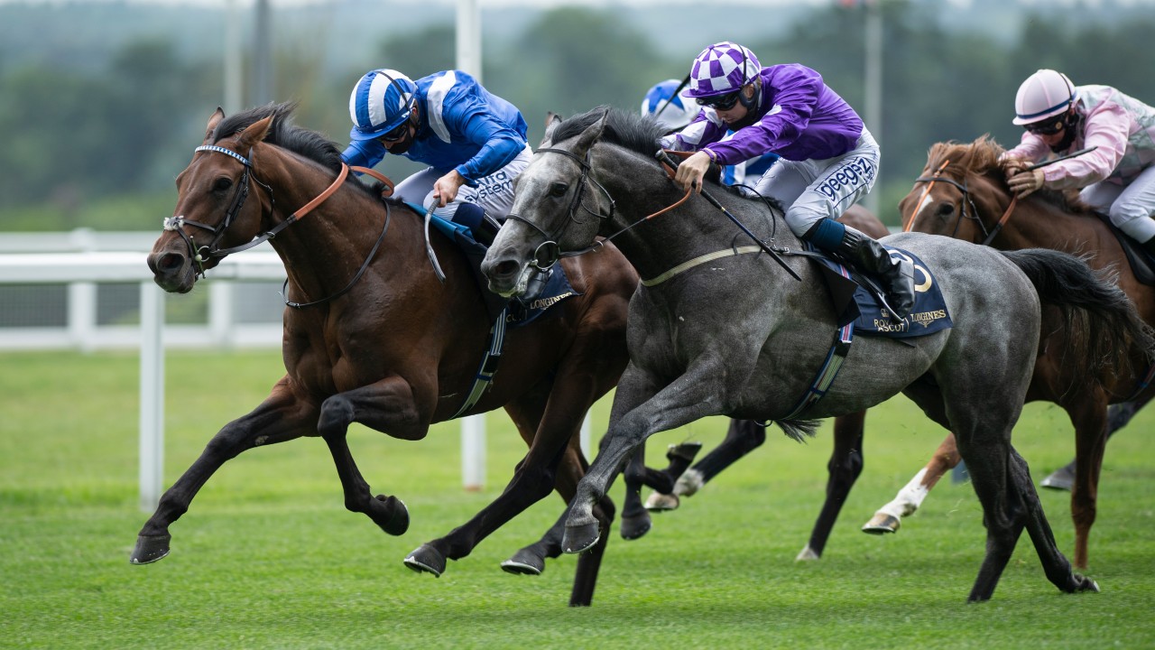 First royal winner for Burrows as Hukum strikes in King V Stakes