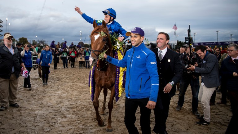Line Of Duty after his success in the Breeders' Cup Juvenile Turf