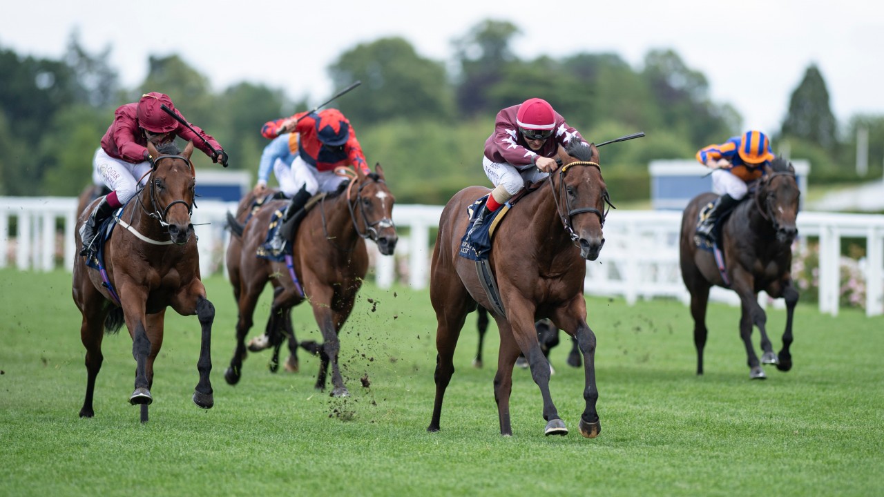 Oddschecker horse racing betting nottingham 29.8 mbtc to btc