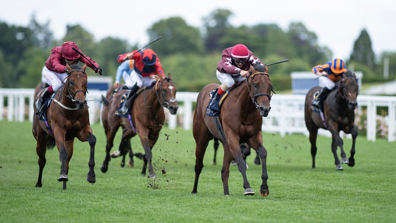 Oddschecker horse racing betting york Oddschecker horse racing betting york matched betting forum msec