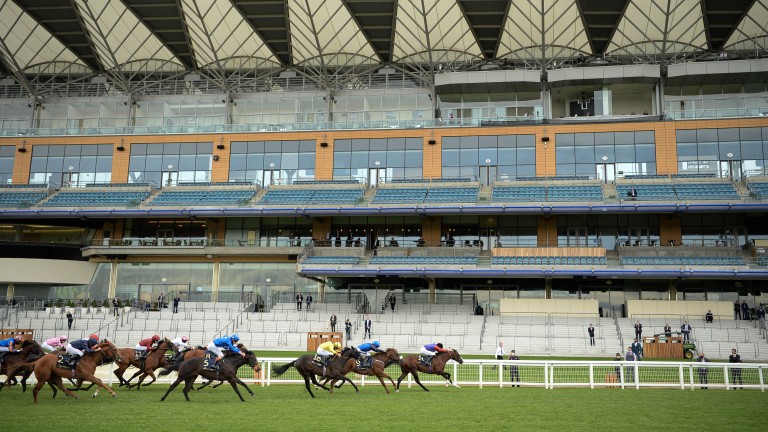 ascot placepot