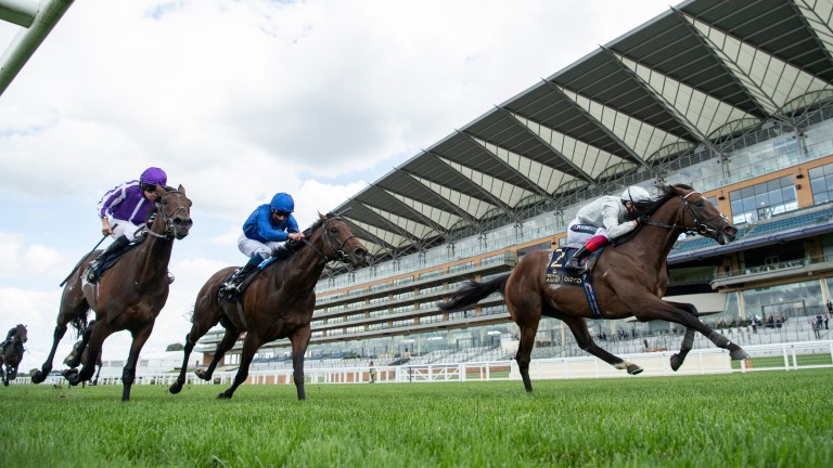 Palace Pier (right) wins the St James's Palace Stakes under the in-form Frankie Dettori