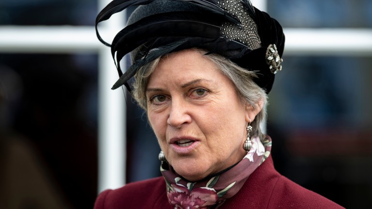 Rose Paterson: was appointed Aintree chairman in 2014