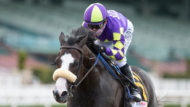 Honor A. P. is a Grade 1-winning son of Hollywood Story